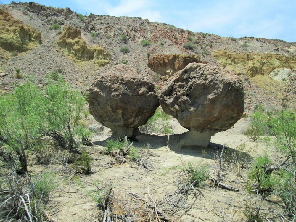 Terlingua Ranch Lodge - photo 44