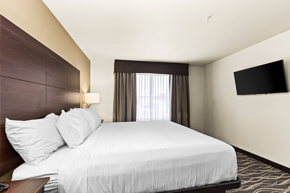 Cobblestone Hotel & Suites Superior Duluth - photo 27