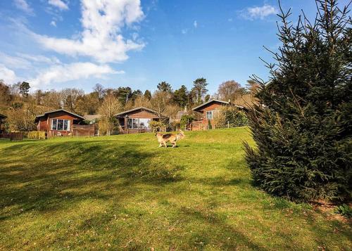 Rudyard Lake Lodges in Leek, United Kingdom