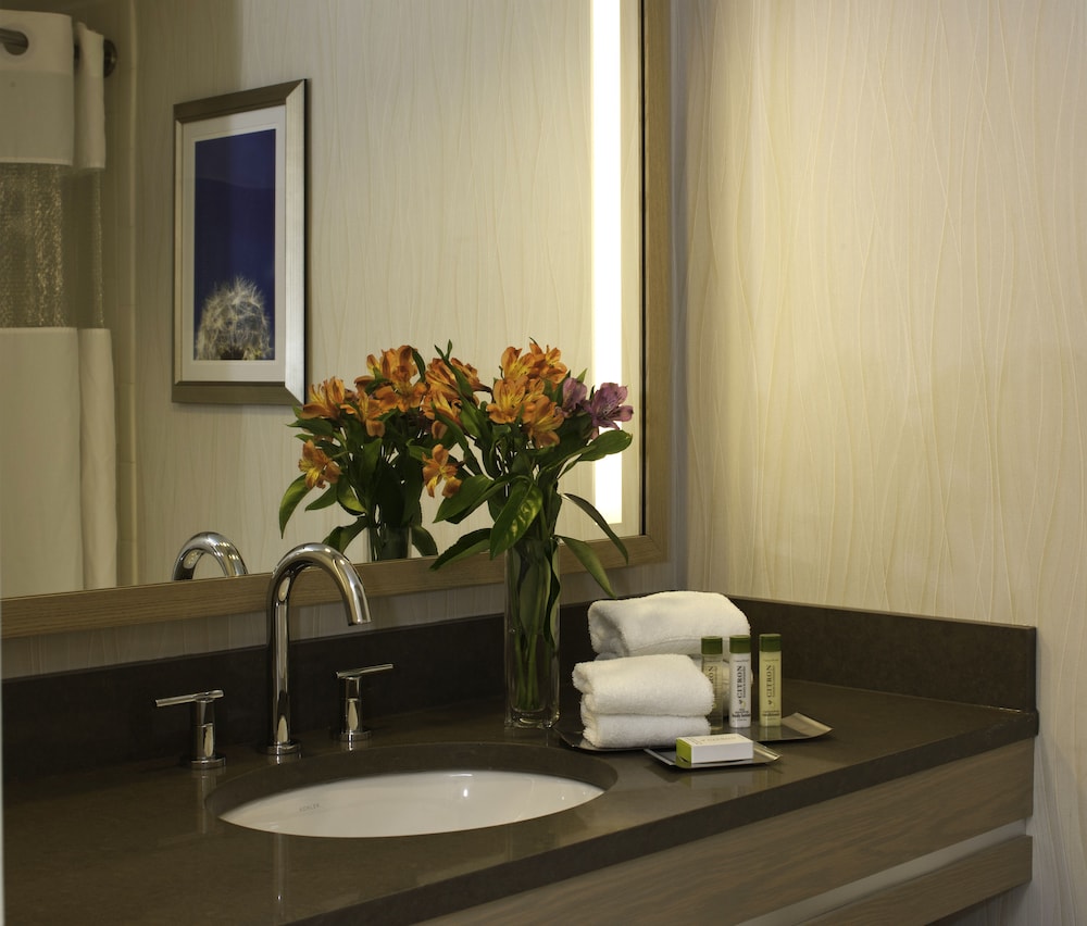 DoubleTree by Hilton Pittsburgh Green Tree - photo 19
