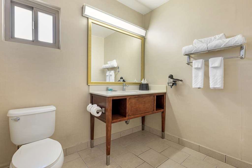 Best Western Royal Palace Inn & Suites - photo 25
