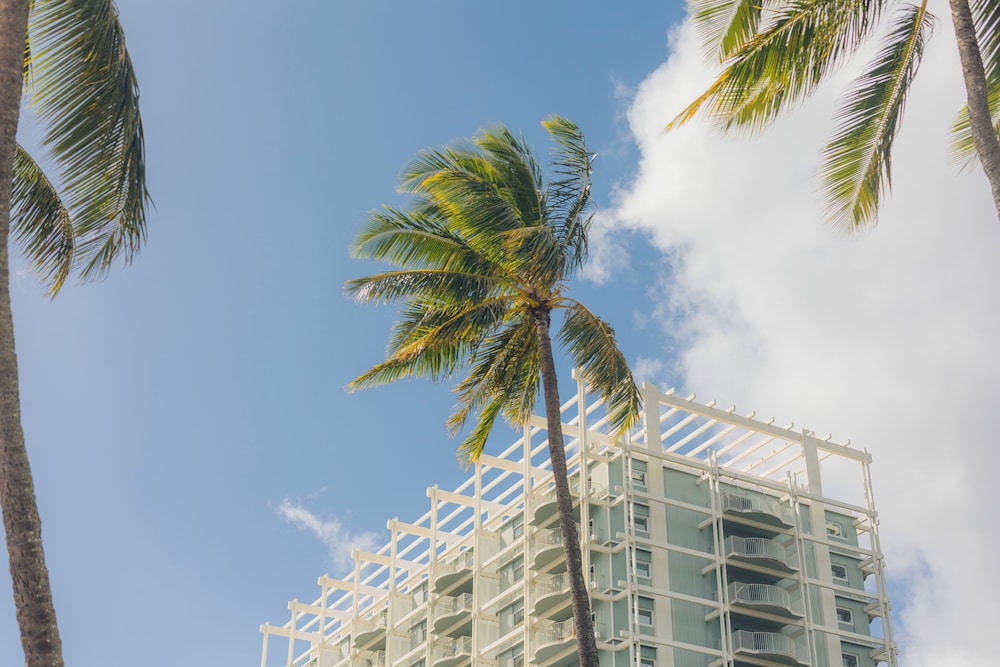 The Kahala Hotel & Resort - photo 128