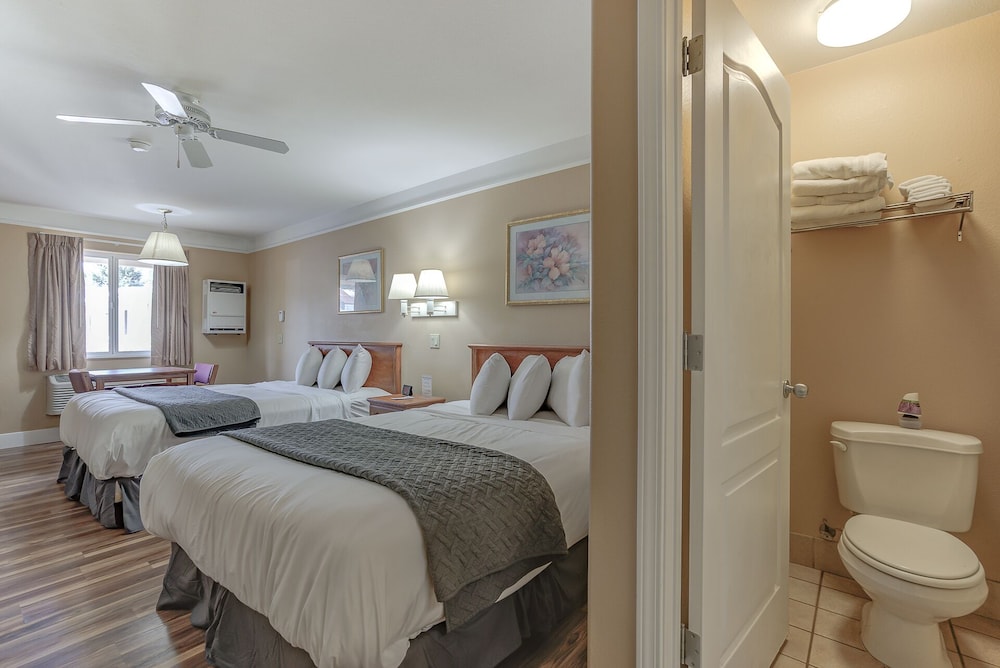 Shasta Pines Motel & Suites - photo 23