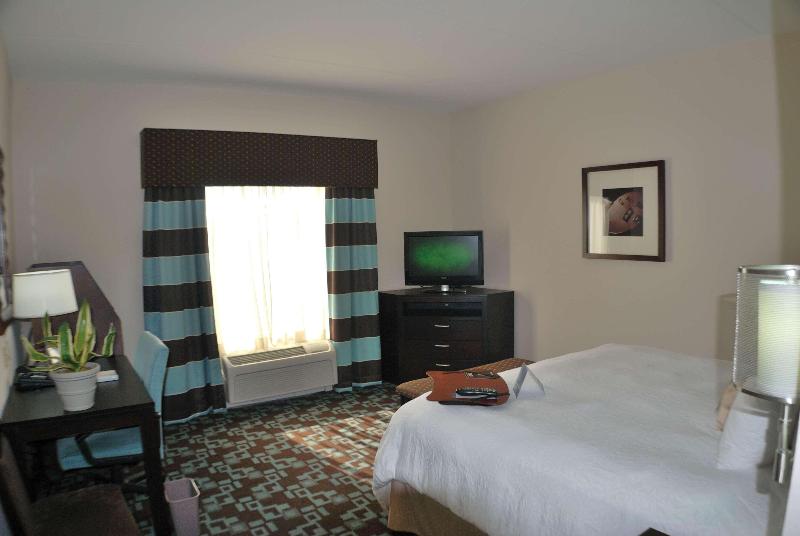 Hampton Inn & Suites Nashville @ Opryland - photo 50