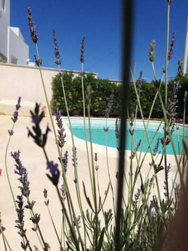 Falso pepe Marzamemi - last minute hotel in Unknown City