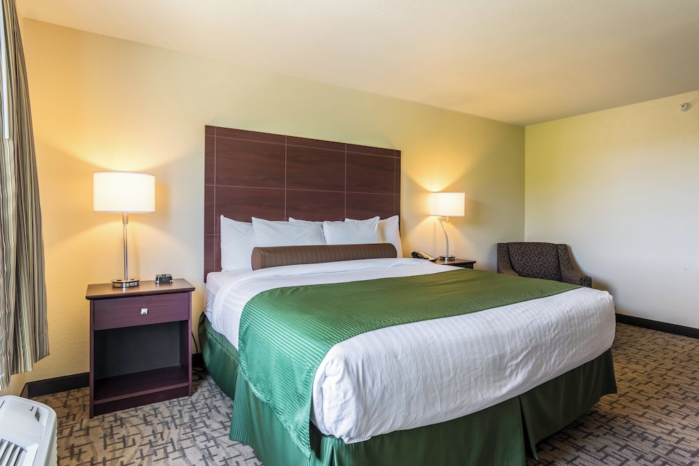 Cobblestone Hotel & Suites Erie - photo 15