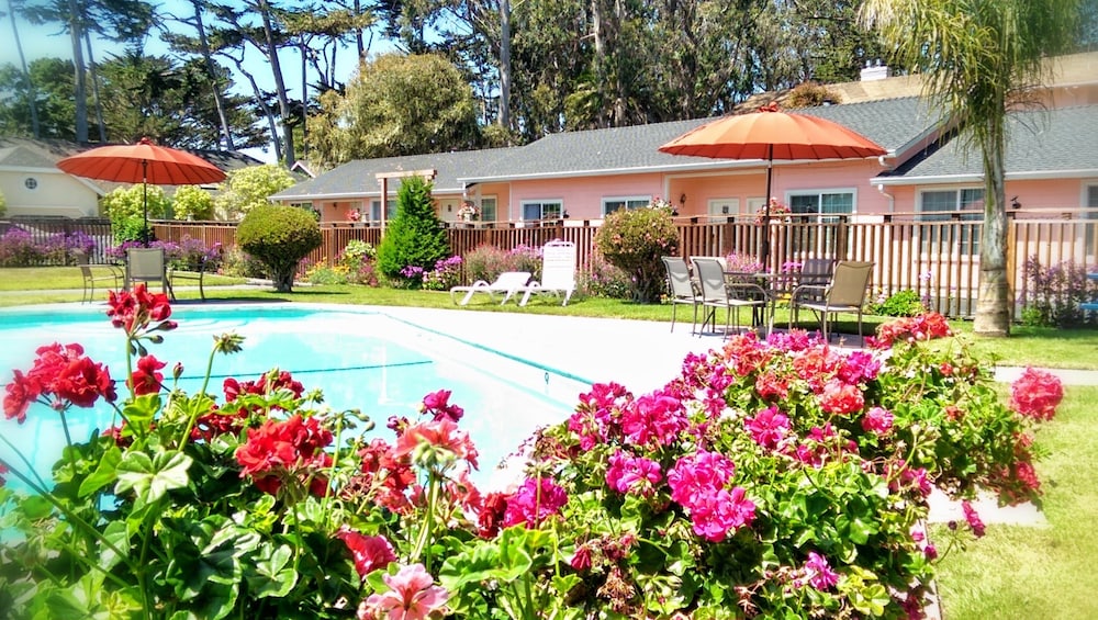 Butterfly Grove Inn - photo 43