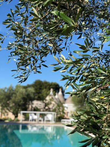 Trullo Genesi — Cisternino — photo 2