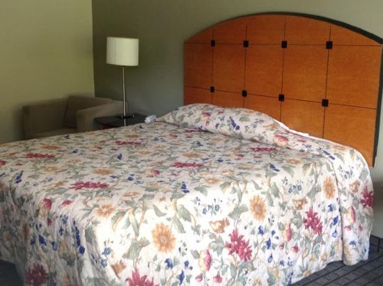 Carolina Duke Inn - photo 13