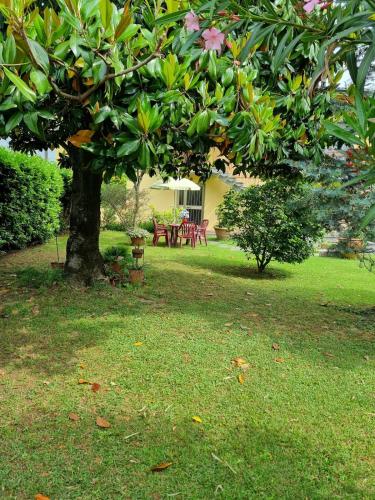 Il nido di Irene e Sofia - last minute hotel in Lucca