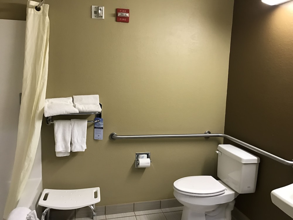Microtel Inn & Suites by Wyndham Lithonia Stone Mountain - photo 25