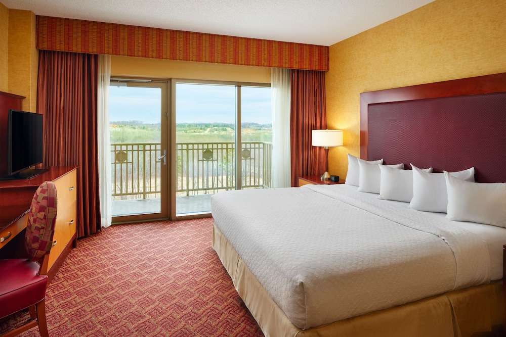Embassy Suites by Hilton Charlotte Concord Golf Resort & Spa - photo 40