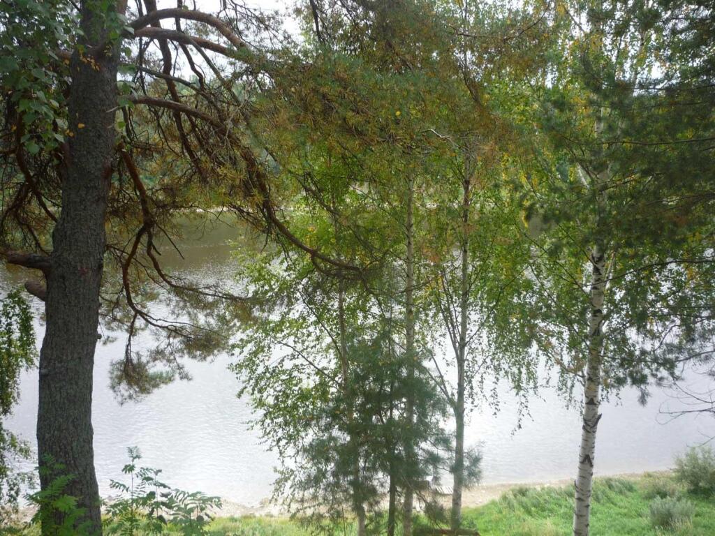 Zhemchuzhina Suhony — Nyuksenitsa
