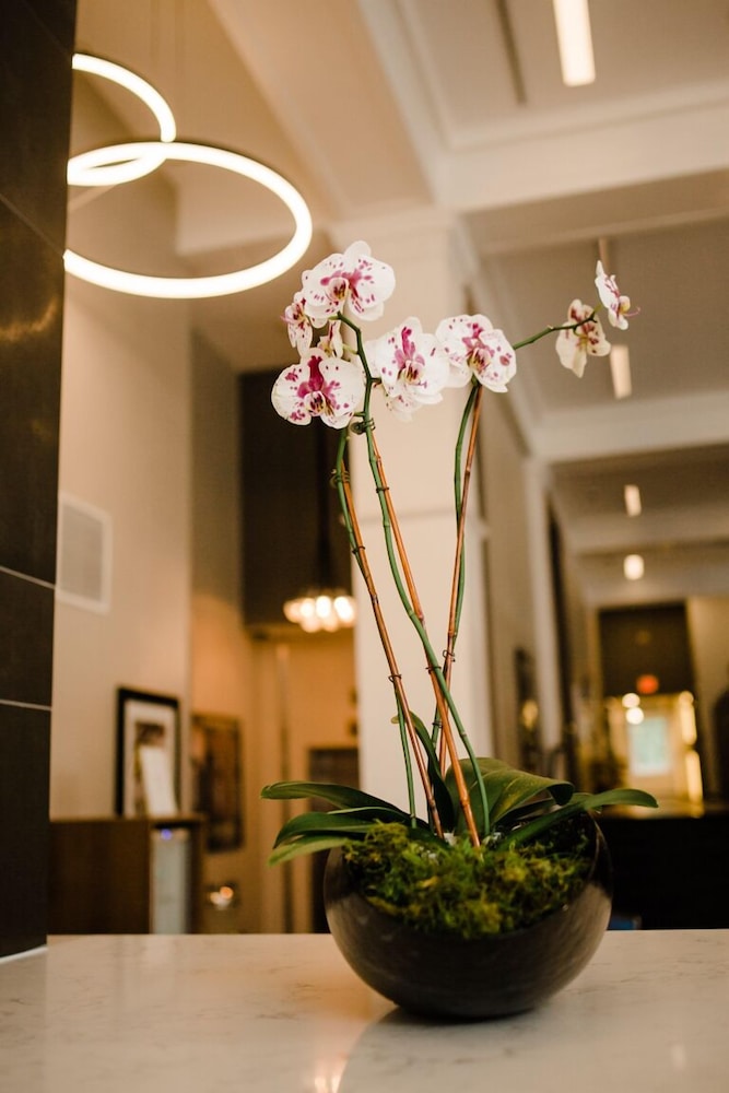 voco Hotel Napoleon Memphis by IHG - photo 57