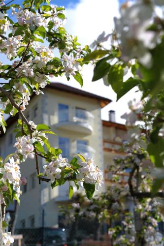 Residenze Mathilda — Silandro