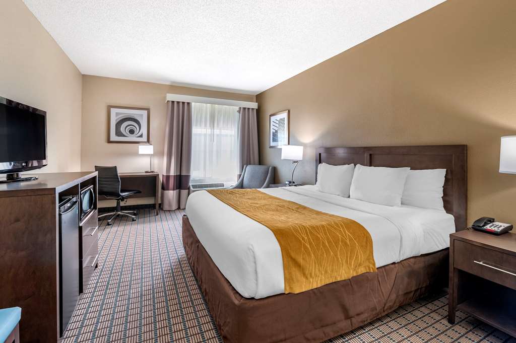 Comfort Inn & Suites Cincinnati Uptown Clifton - photo 9