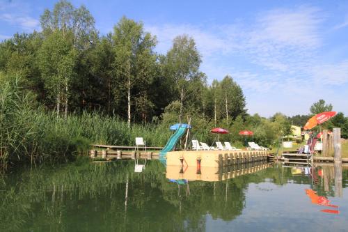 Treebox Noszvaj - carbon neutral hotel in Unknown City