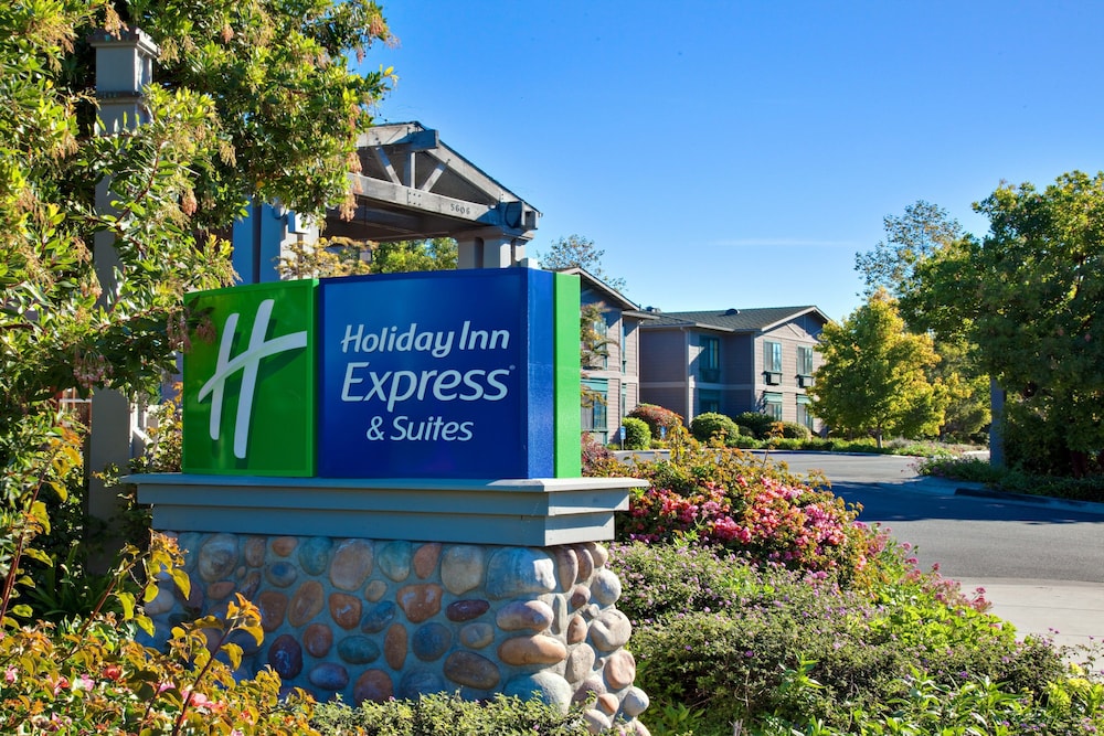 Holiday Inn Express & Suites Carpinteria by IHG - photo 39