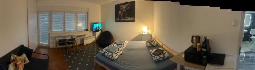 Sibejdo 3&4 in Varazdin, Croatia