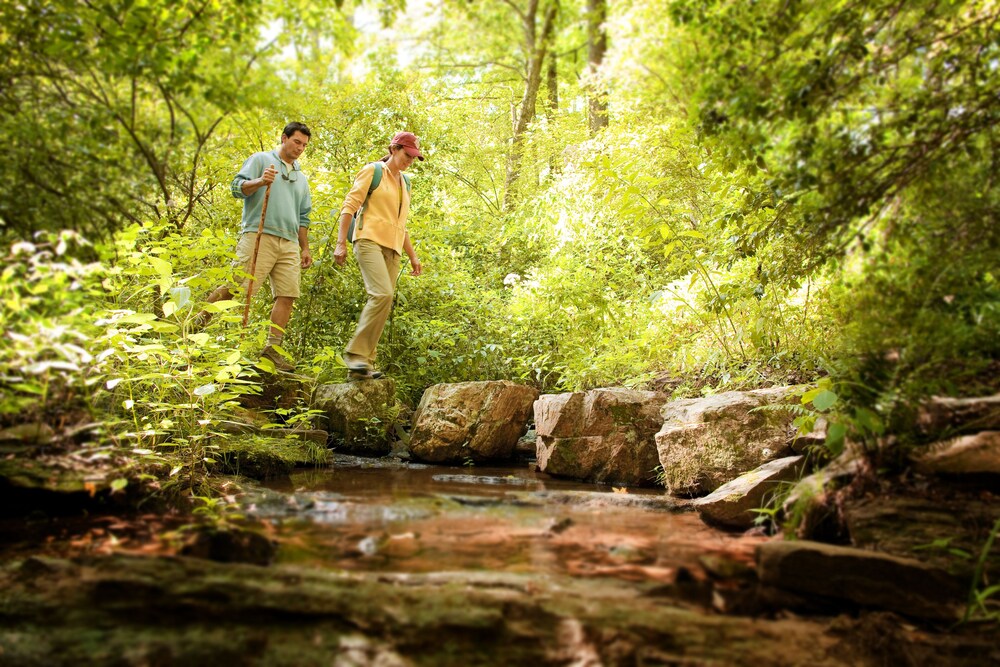 Callaway Gardens' Mountain Creek Inn - photo 28