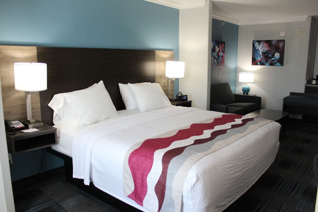 Best Western Medical Center North Inn & Suites Near Six Flags - photo 43