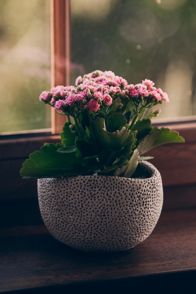 Lazne Libverda Llp015 in Liberec, Czech Republic