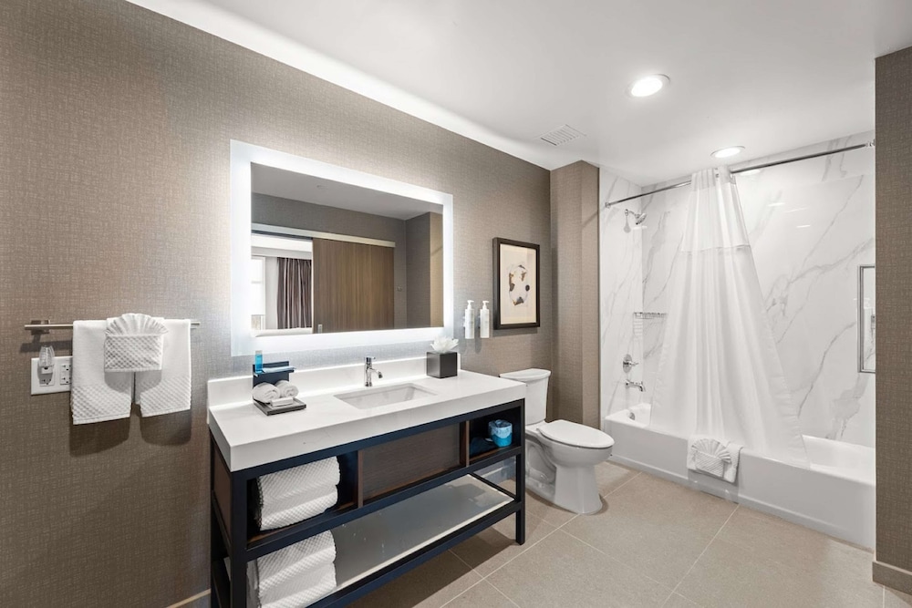Embassy Suites by Hilton Irving Las Colinas - photo 22