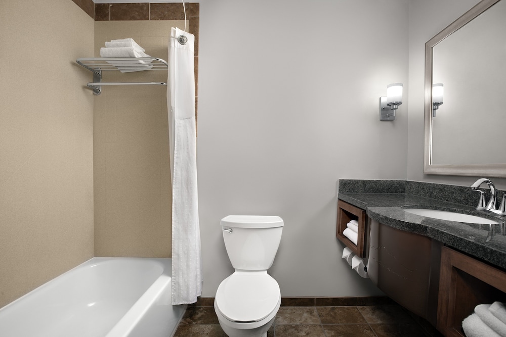 Holiday Inn Hotel & Suites Durango Downtown by IHG - photo 27