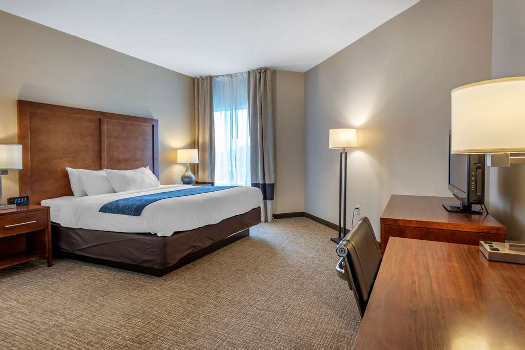 Comfort Inn Apalachin Binghamton W Route 17 - photo 12