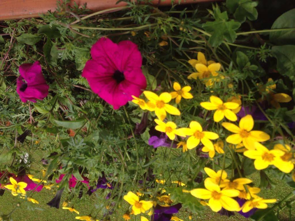 Hotel Scoiattolo in Selva, Italy