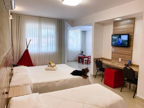 Senior Village Eco Resort — Belo Horizonte — photo 5