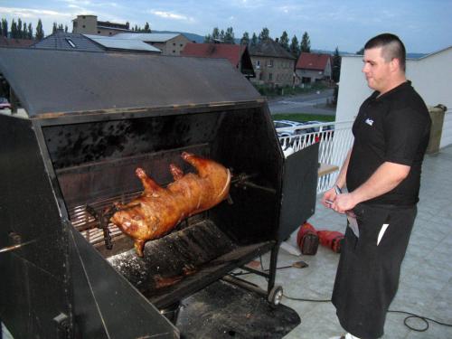 Sporthotel Patriot in Ustek, Czech Republic