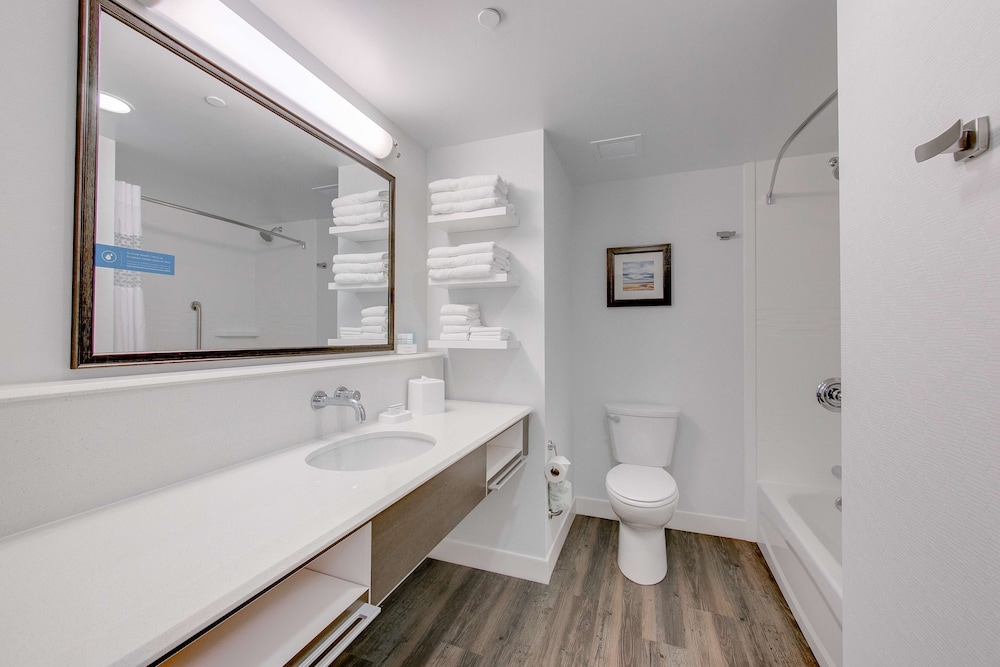 Hampton Inn & Suites North Houston Spring - photo 20