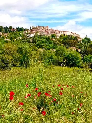 Flat And Terrace in Callian — hotel in Callian