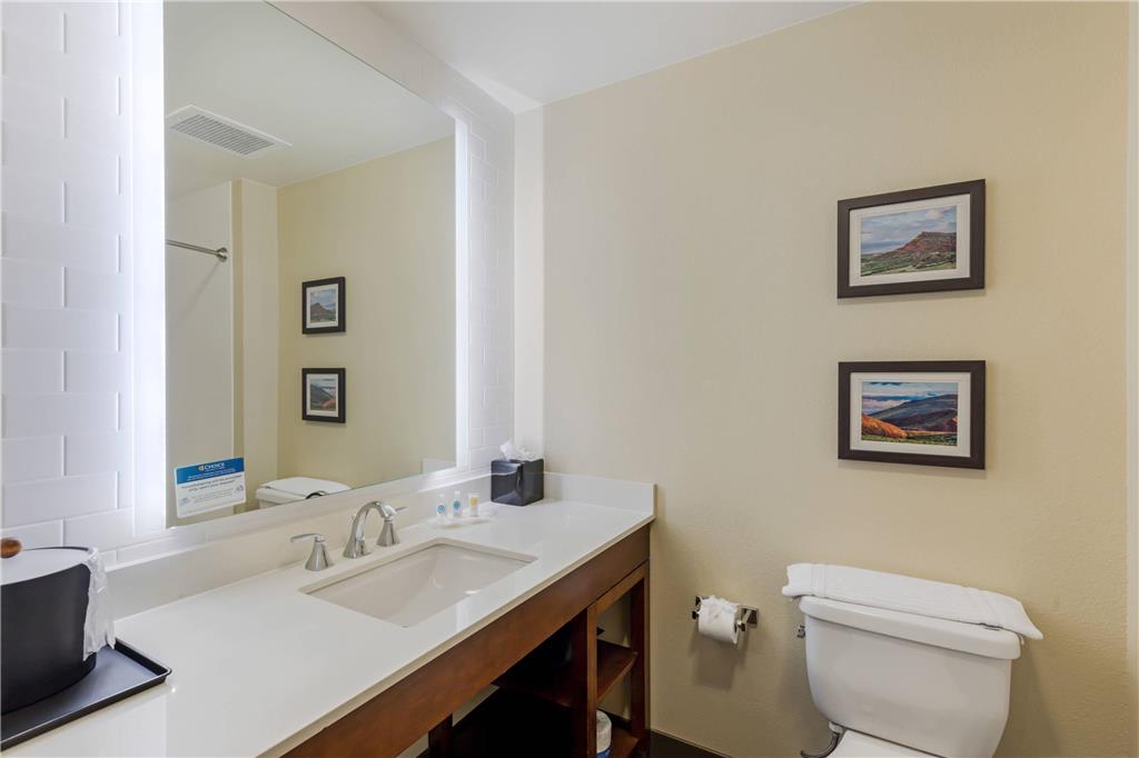 Comfort Suites Loveland - photo 36