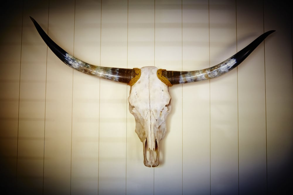 Laguna Beach House - photo 4