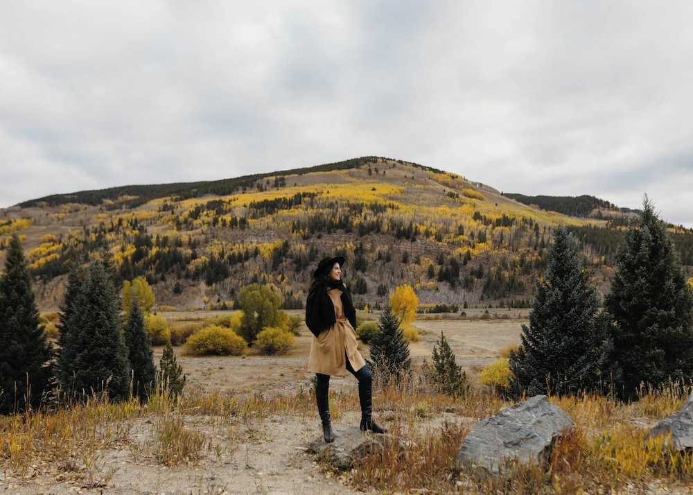 W Aspen - photo 47