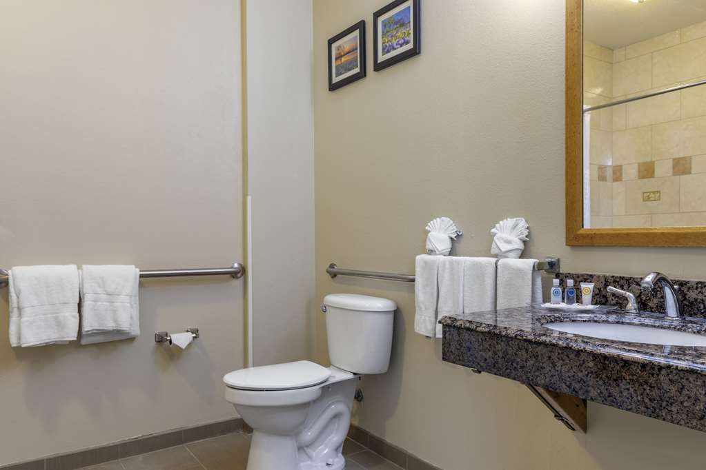 Comfort Suites Plano Dallas North - photo 10