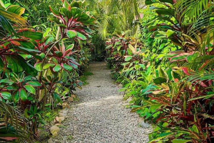 Due Amici Glamping in Dibulla, Colombia