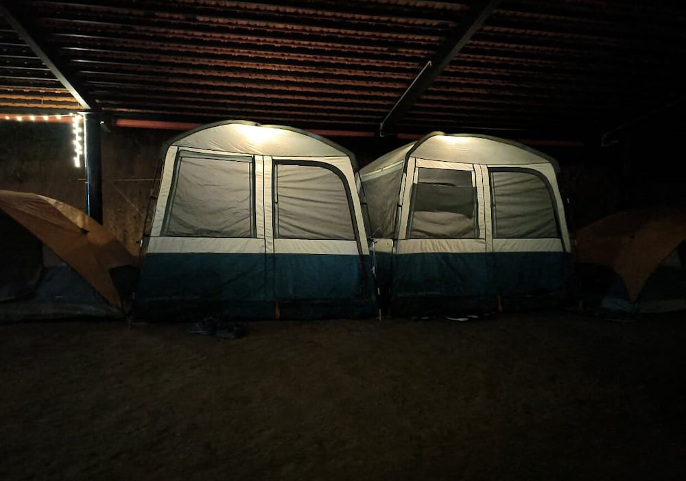 Laughing Elephants in Karnataka, India
