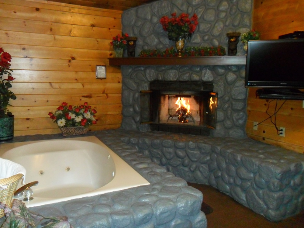Big Bear Manor Spa Cabins - photo 4