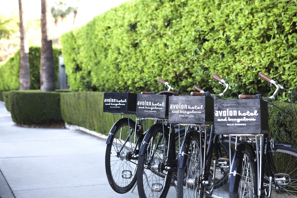 Avalon Hotel & Bungalows Palm Springs a Member of Design Hotels - photo 46