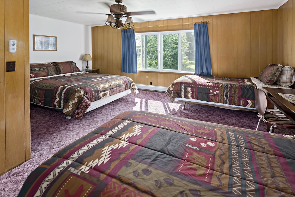 Talkeetna Inn - photo 38