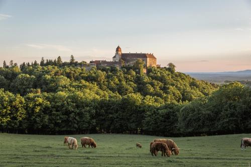 Burg Bernstein - last minute hotel in Bernstein