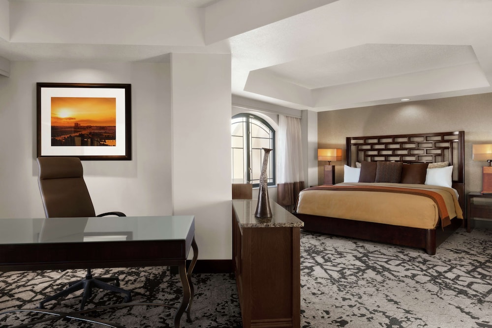 Embassy Suites by Hilton Dallas DFW Airport North - photo 15
