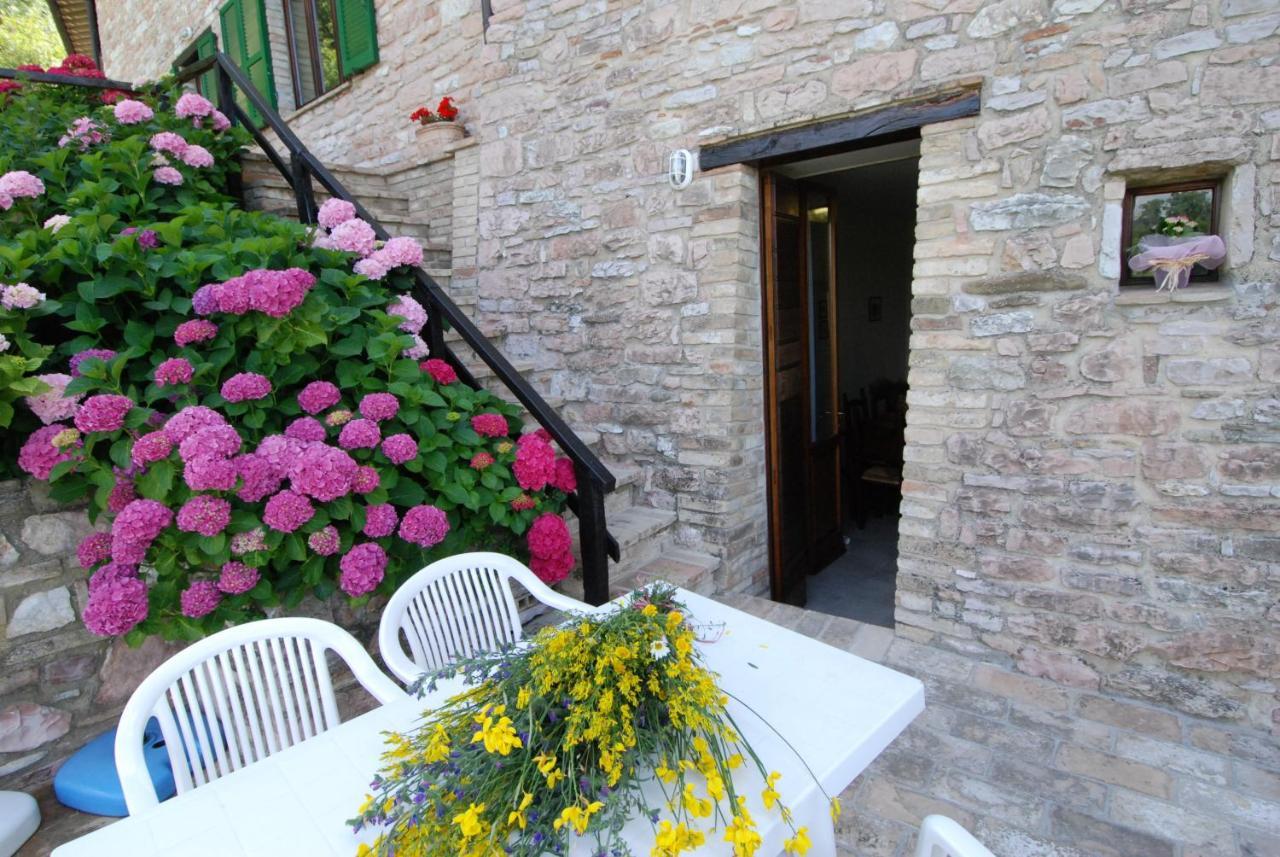 L’oasi — Assisi — photo 3