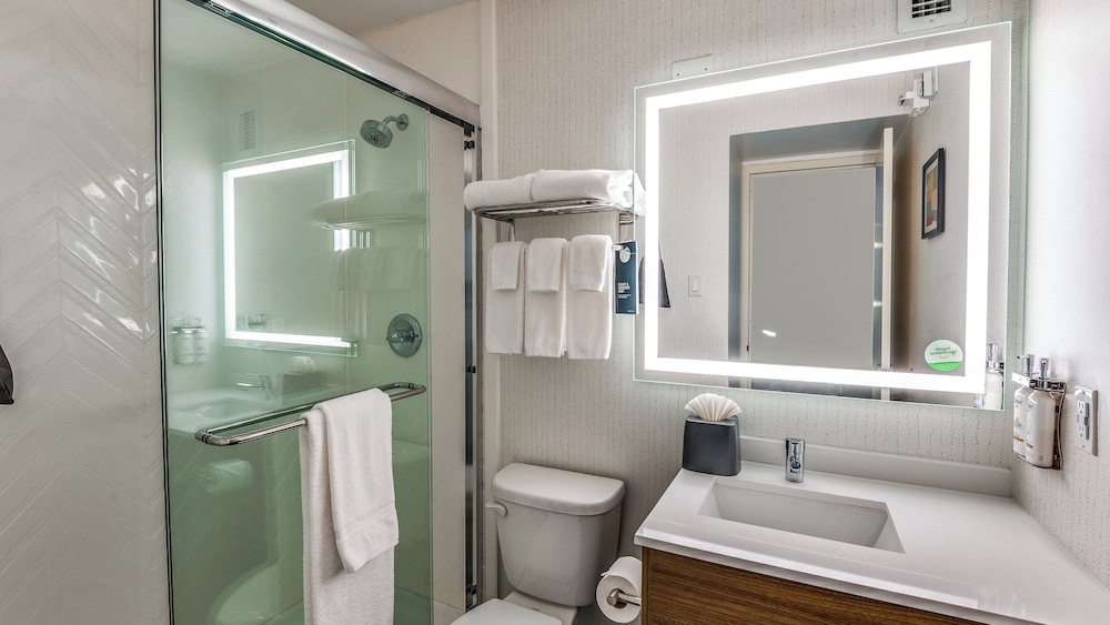 Holiday Inn Dallas Market Ctr Love Field by IHG - photo 12