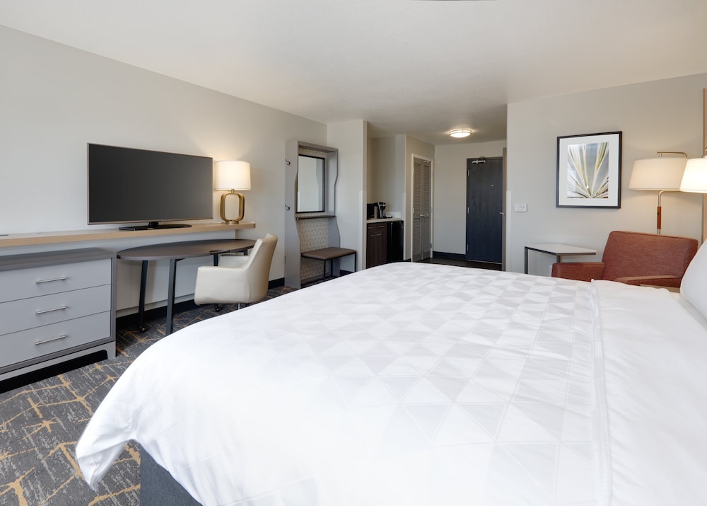 Holiday Inn Yuma by IHG - photo 14