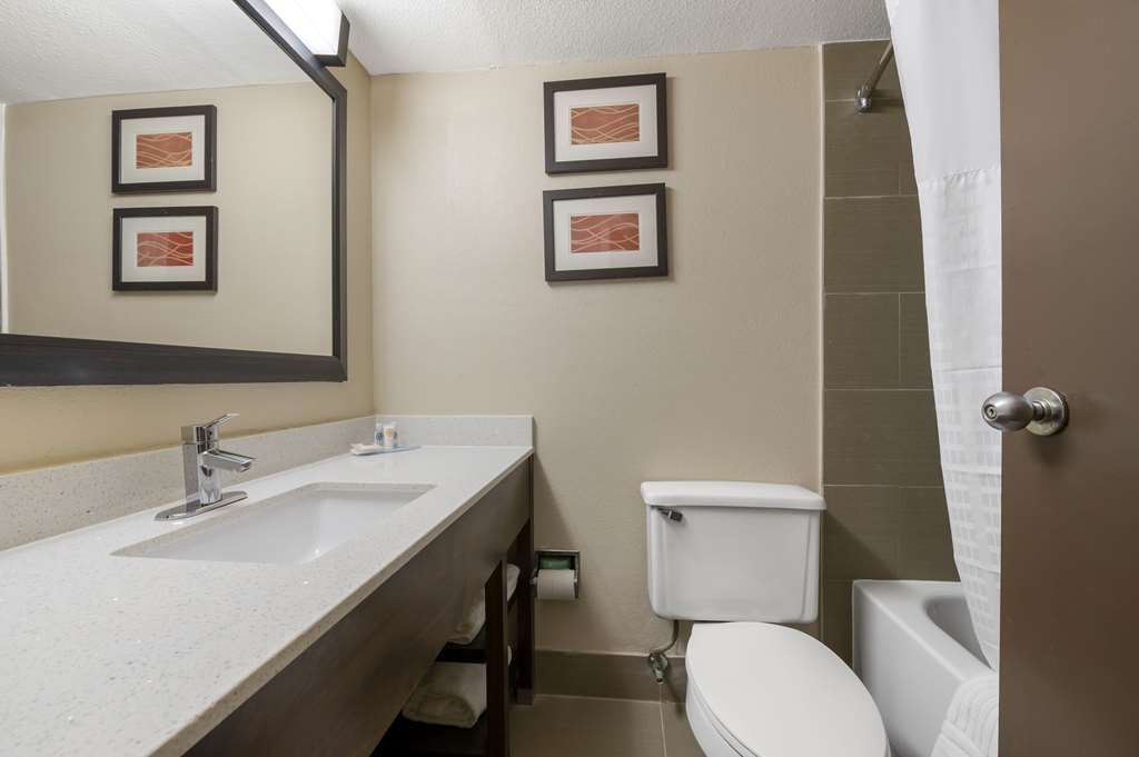 Comfort Inn & Suites Indianapolis Northwest College Park - photo 10