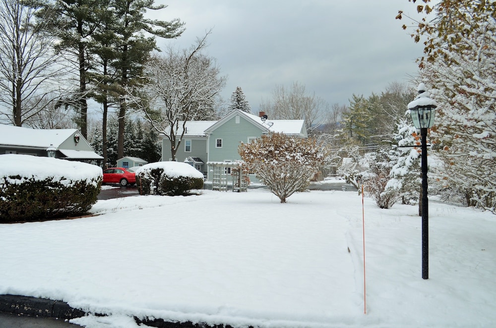 Maple Terrace Motel - photo 93